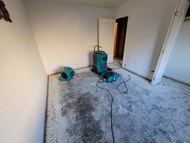 Best Mold removal after water damage  in Washburn, IL