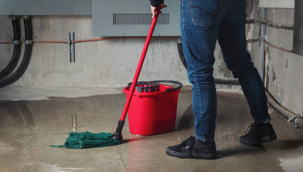 Best Ceiling water damage repair  in Washburn, IL