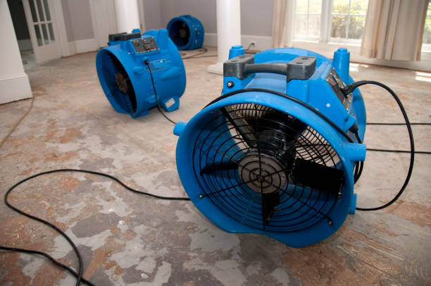 Best 24-hour water damage restoration  in Washburn, IL