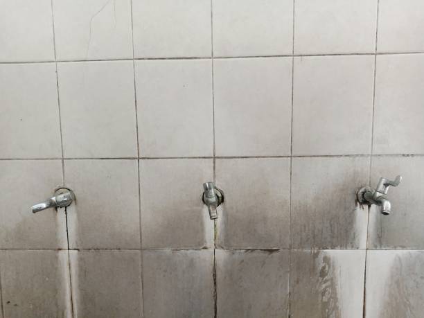 Best Residential water damage restoration  in Washburn, IL