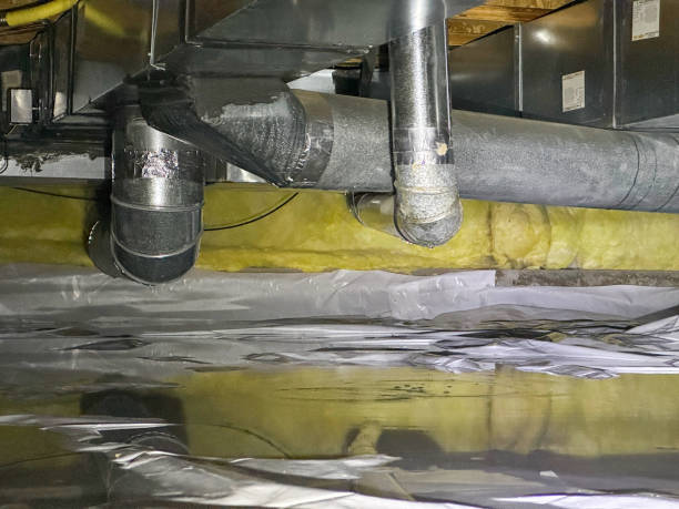 Best Water damage repair service  in Washburn, IL