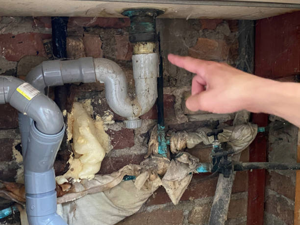 Best Water damage restoration near me  in Washburn, IL