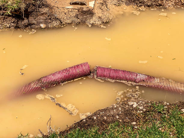 Best Water damage mitigation services  in Washburn, IL